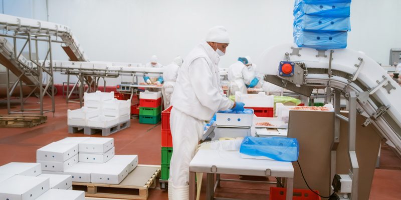 Food-manufacturer-thumb